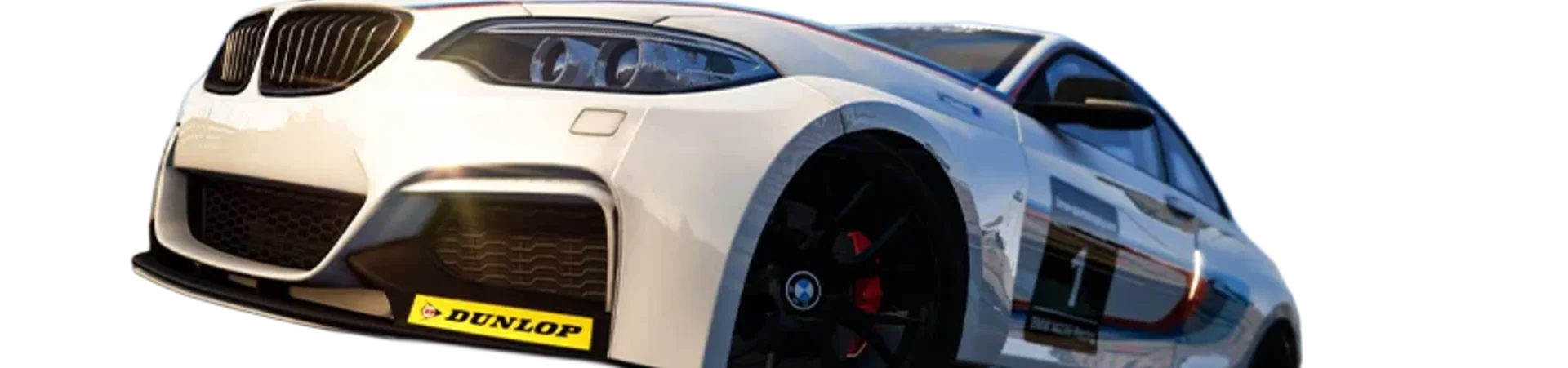 Born to Race Hintergrundbild 2