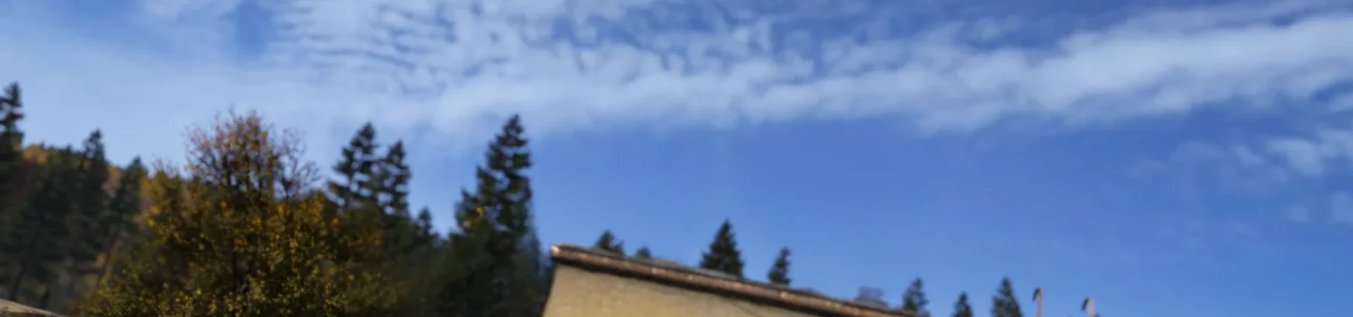 Deine Story. Dein Überleben. Deine Regeln. Hintergrundbild